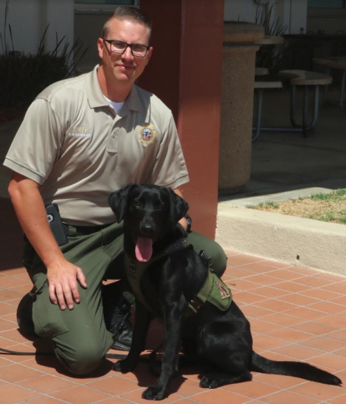 Krypto, a 14-month-old black Labrador, is with handler Ian Ur, Santa Barbara County sheriff's custody deputy. Krypto joins the Sheriff's Jail K-9 Narcotics Team.