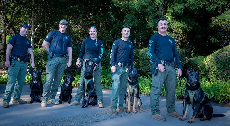 posse-deputy-dog_our-programs K-9 officers with their dogs